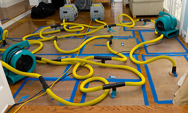 Professional Crawl Space Water Removal technician working in Wooldridge, MO